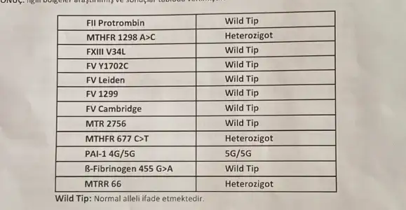 45C9DAD3-3A3B-4E32-B378-4EF97CB3B9FE.webp