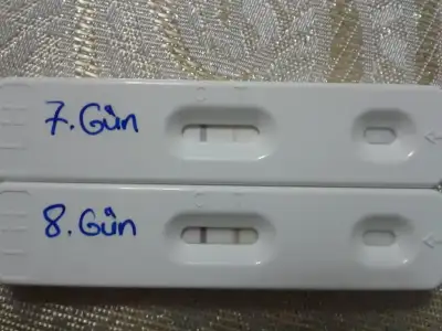 $20121105_182035.webp $20121105_182035.webp