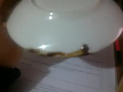 $2012-11-06-079.webp