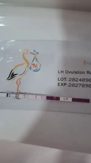1000078739.webp
