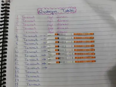 1000001416.webp