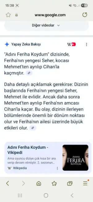Screenshot_20250713_153809_Samsung Internet.webp