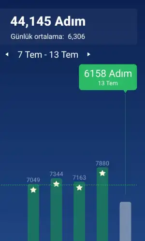 Screenshot_2025-07-14-04-38-36-408_pedometer.steptracker.calorieburner.stepcounter-edit.webp
