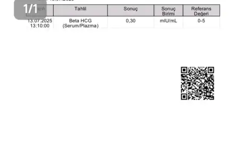 1000031290.webp