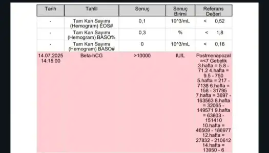 Screenshot_20250715-130350_Drive.webp
