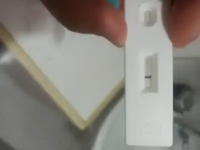 17528743614783514077678111192064.webp