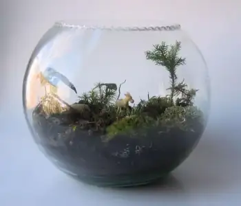 $terrarium.webp