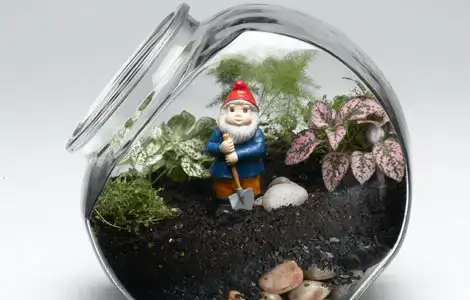 $natgeo_terrarium_lg.webp