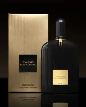 $blackorchid.webp