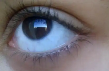 $K&#252;&#231;&#252;k&#231;ekmece-20121108-04018.webp