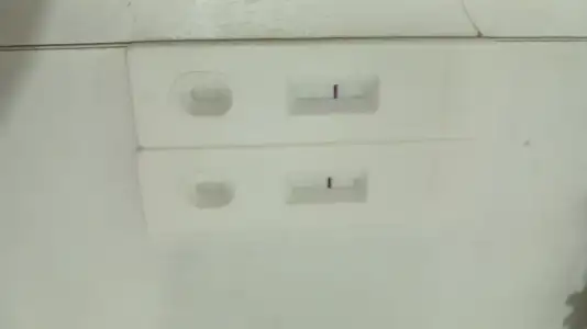 1000248752.webp