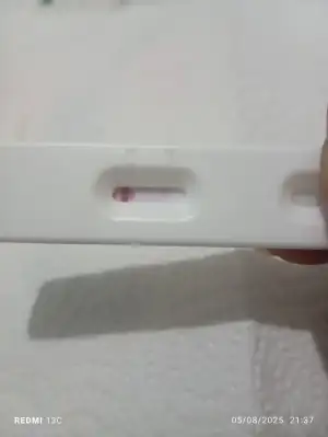 1754419040081..webp