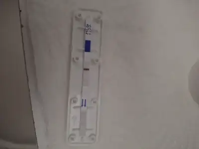 1000083266.webp