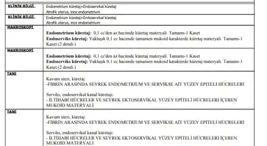 Screenshot_20250808-192031_Drive.webp