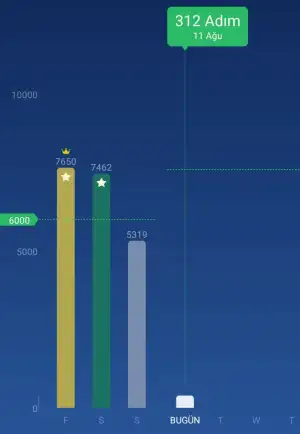 Screenshot_2025-08-11-15-59-40-821_pedometer.steptracker.calorieburner.stepcounter-edit.webp