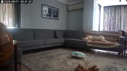 WhatsApp Image 2025-08-11 at 09.41.44.webp