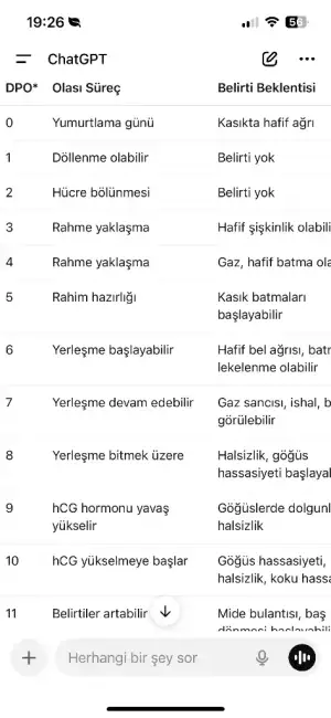IMG_2985.webp