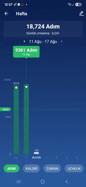 Screenshot_20250813_122733_Pedometer Step Counter.webp