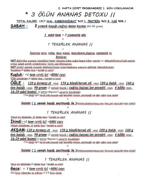 2.hafta 1.gün.webp