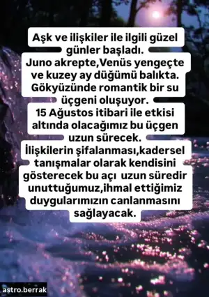 hft 15.webp
