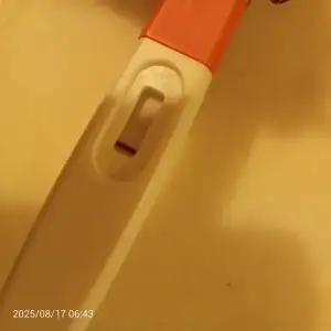 17554021200602270597436365813471.webp