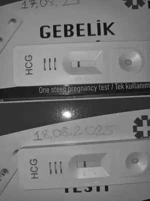 1755466579215.webp
