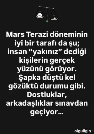 marster1.webp