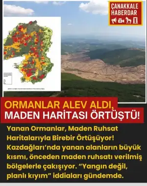 orman (1).webp
