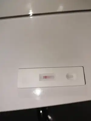 1000194696.webp