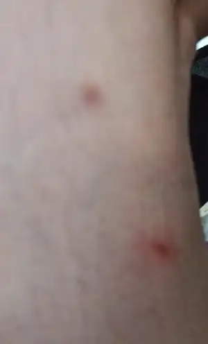 IMG-20250819-WA0002.webp