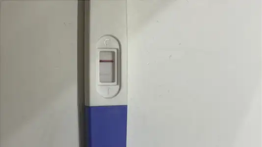 EA200C6B-954E-429D-A2F9-083F85C96F74.webp