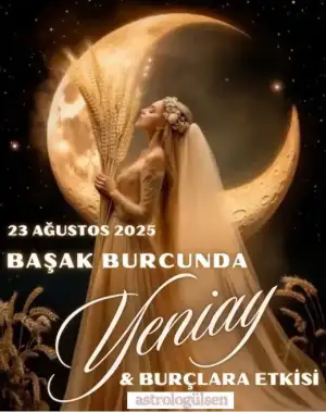 b.webp