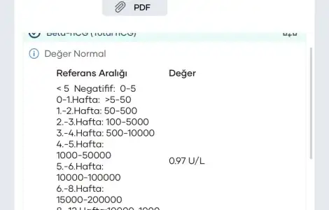 3D221B3F-5425-4BEA-AF6A-7530AB8470DF.webp