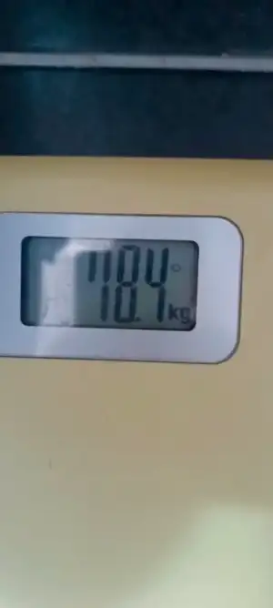 1000038093.webp
