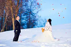 $4123237.webp