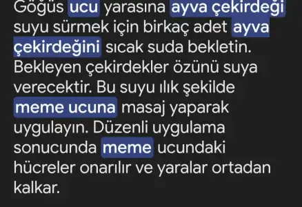 1000073266.webp