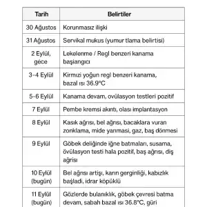 1182.webp