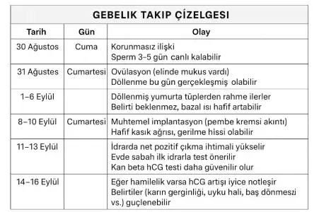 1115.webp