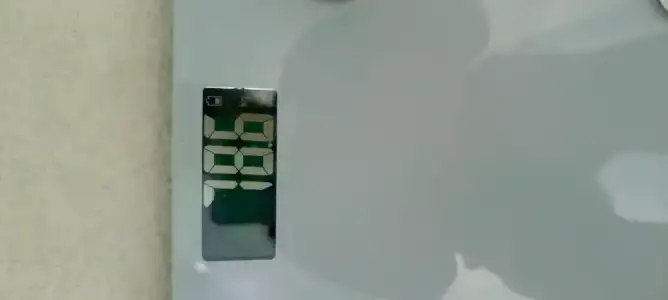 1000038352.webp