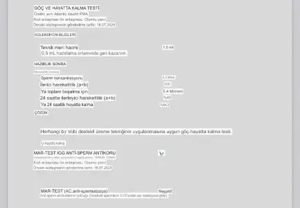 IMG_4073.webp
