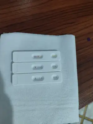17583213651738419005809279023609.webp