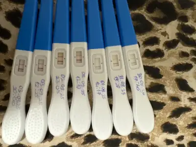 IMG_D03A9C11-B19A-42D0-BB13-73AE72555A9E.webp