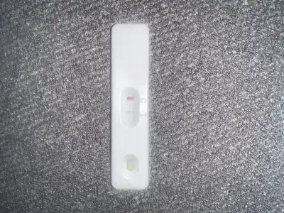image.webp