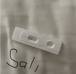 SALI.webp