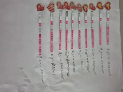 1000032413.webp