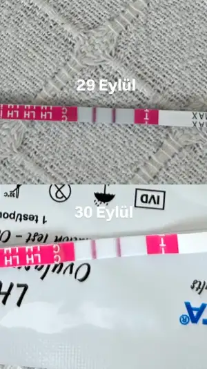 A8B3B8BA-6EC5-43C8-9839-AC5DF02FFBF0.webp