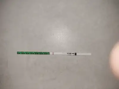 20251003_171130.webp
