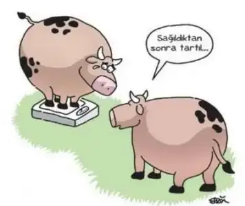 $karikatur-sagildiktan-sonra-tartil-2714-I3.webp
