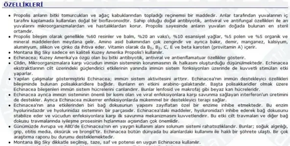 $propolis2.webp