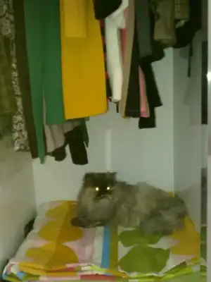 $15112012078.webp